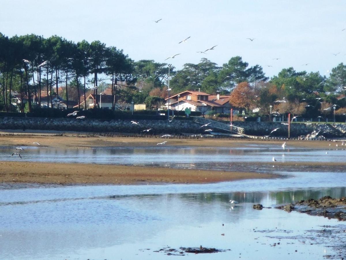 Les Alizes Mimizan-Plage Exterior foto